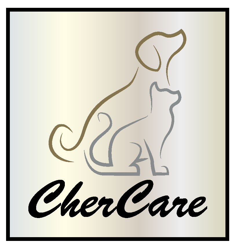 Trimsalon Woudrichem